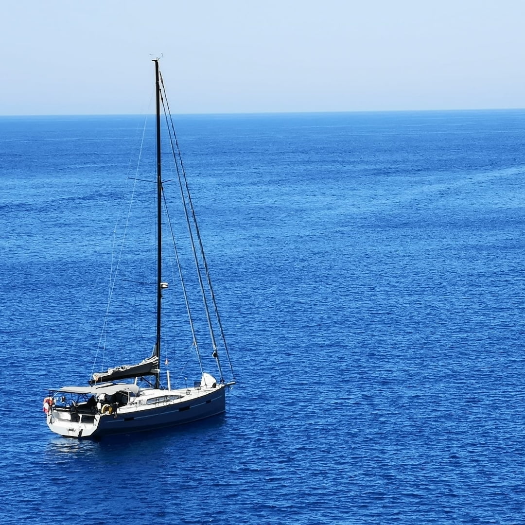 RM1370 Cachalot